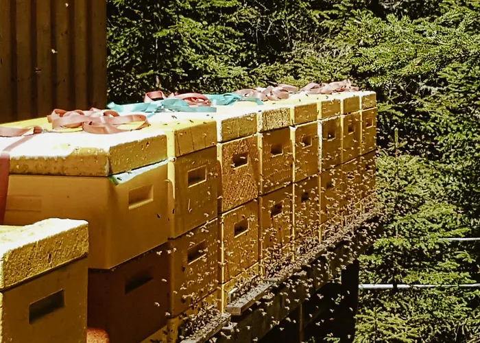 阿洛伊斯快乐假期公寓 * 瑙德斯