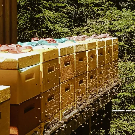 Alois Ferienglueck * 나우더스